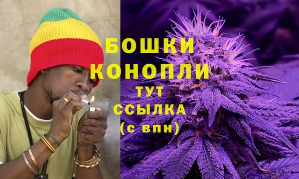 крисы Абдулино