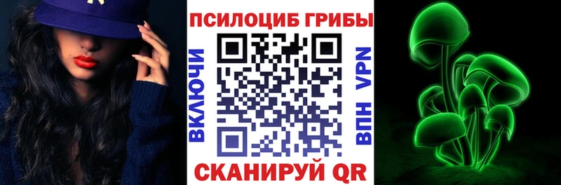 цены Струнино Псилоцибиновые грибы GOLDEN TEACHER